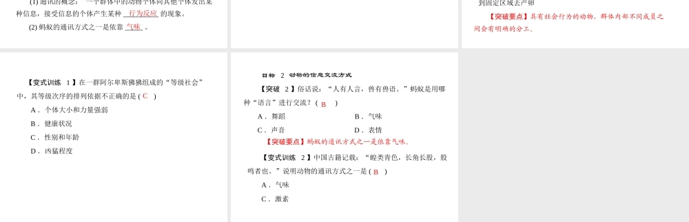 《随堂优化训练》2011年八年级生物上册 第五单元 第二章 动物的运动和行为 第三节 社会行为 配套课件 人教新课标版