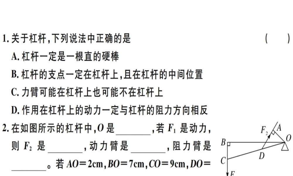 2019八年级物理下册 第十二章 第1节 杠杆（第1课时 杠杆及其平衡条件）习题课件 （新版）新人教版