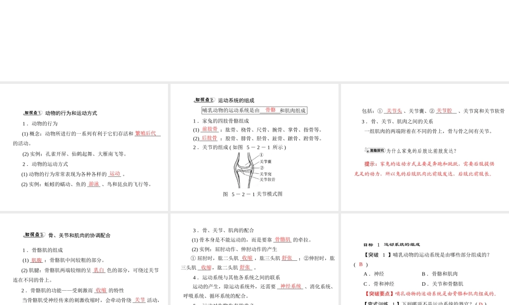 《随堂优化训练》2011年八年级生物上册 第五单元 第二章 动物的运动和行为 第一节 动物的运动 配套课件 人教新课标版