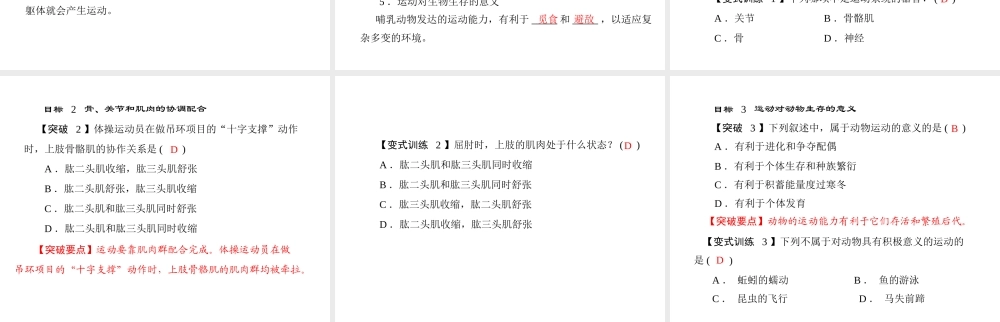 《随堂优化训练》2011年八年级生物上册 第五单元 第二章 动物的运动和行为 第一节 动物的运动 配套课件 人教新课标版