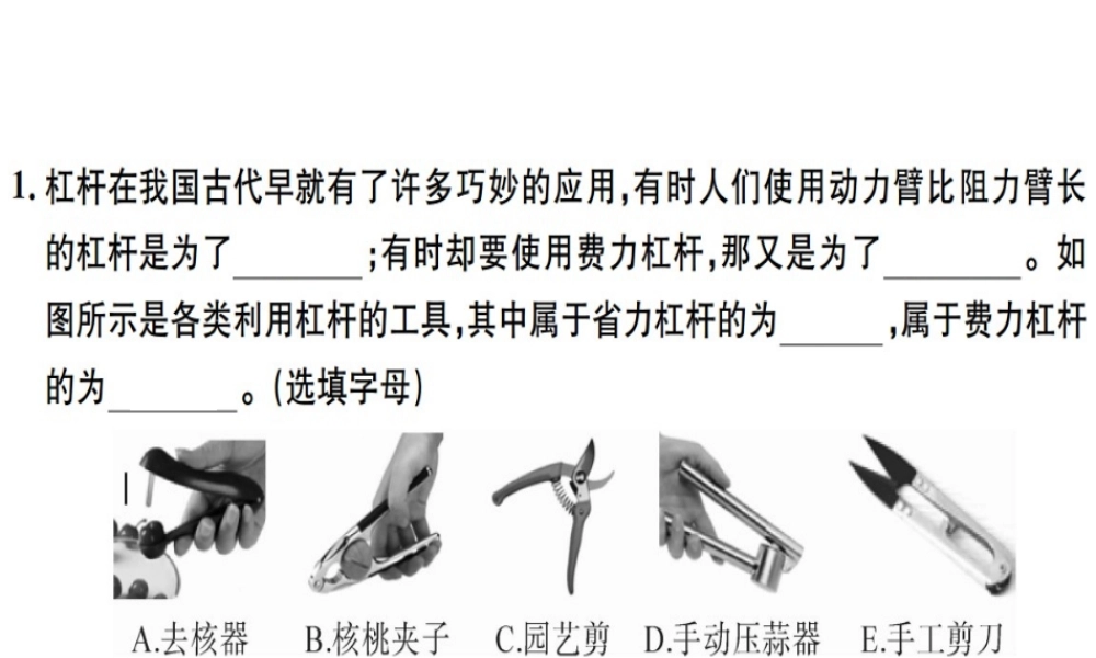 2019八年级物理下册 第十二章 第1节 杠杆（第2课时 杠杆的分类与应用）习题课件 （新版）新人教版