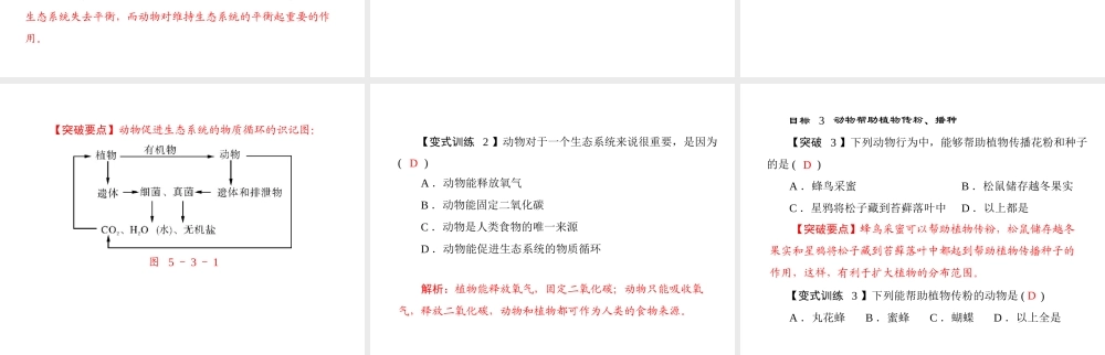 《随堂优化训练》2011年八年级生物上册 第五单元 第三章 动物在生物圈中的作用 第一节 动物在自然界中的作用 配套课件 人教新课标版