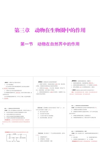 《随堂优化训练》2011年八年级生物上册 第五单元 第三章 动物在生物圈中的作用 第一节 动物在自然界中的作用 配套课件 人教新课标版