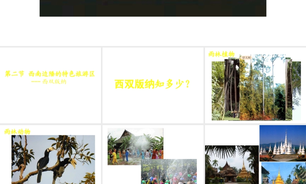 7.2西南边陲的特色旅游区-西双版纳