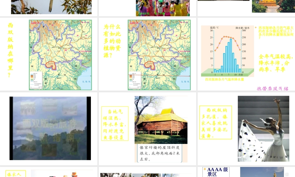 7.2西南边陲的特色旅游区-西双版纳