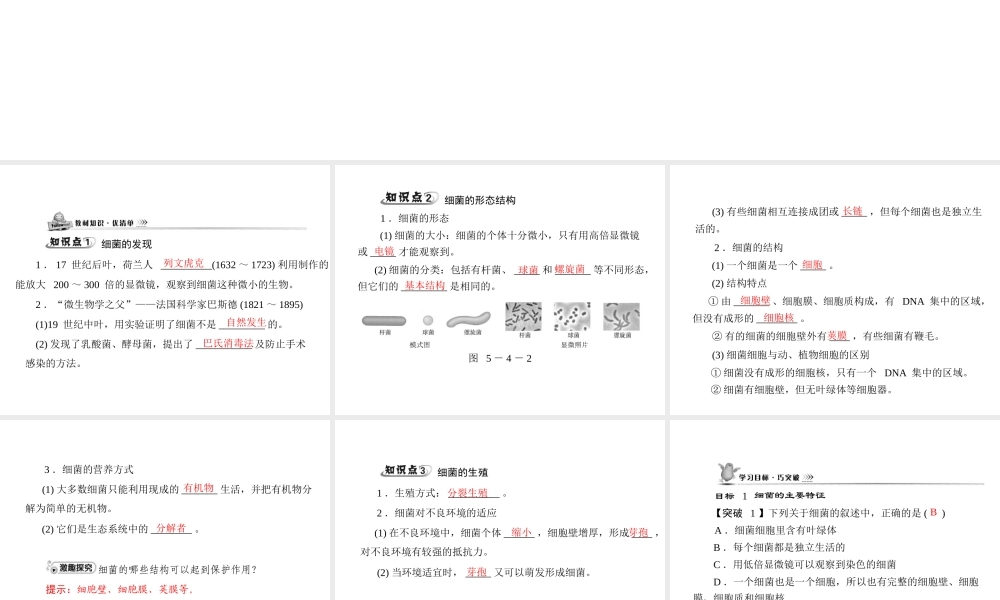 《随堂优化训练》2011年八年级生物上册 第五单元 第四章 分布广泛的细菌和真菌 第二节 细菌 配套课件 人教新课标版