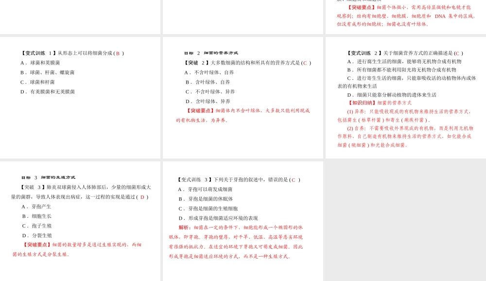 《随堂优化训练》2011年八年级生物上册 第五单元 第四章 分布广泛的细菌和真菌 第二节 细菌 配套课件 人教新课标版