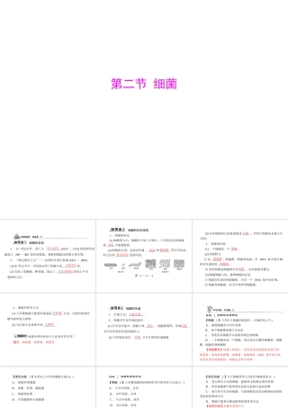 《随堂优化训练》2011年八年级生物上册 第五单元 第四章 分布广泛的细菌和真菌 第二节 细菌 配套课件 人教新课标版