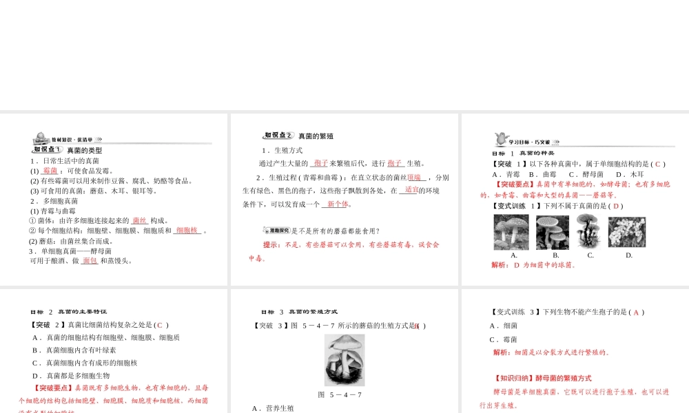 《随堂优化训练》2011年八年级生物上册 第五单元 第四章 分布广泛的细菌和真菌 第三节 真菌 配套课件 人教新课标版