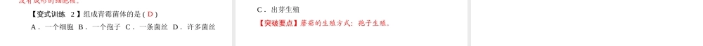 《随堂优化训练》2011年八年级生物上册 第五单元 第四章 分布广泛的细菌和真菌 第三节 真菌 配套课件 人教新课标版