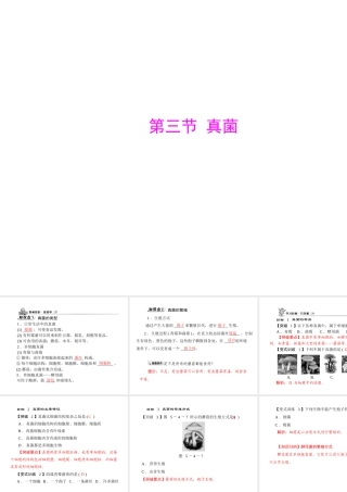 《随堂优化训练》2011年八年级生物上册 第五单元 第四章 分布广泛的细菌和真菌 第三节 真菌 配套课件 人教新课标版