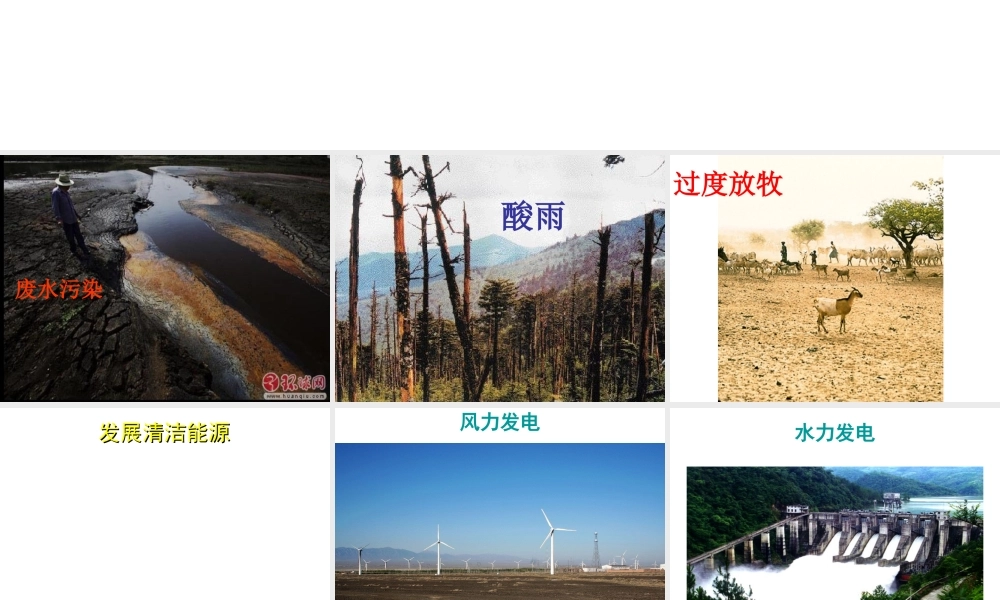 7.3  拟定保护生态环境的计划课件(1)