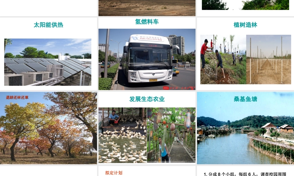 7.3  拟定保护生态环境的计划课件(1)