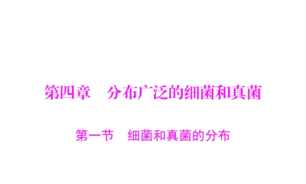 《随堂优化训练》2011年八年级生物上册 第五单元 第四章 分布广泛的细菌和真菌 第一节 细菌和真菌的分布 配套课件 人教新课标版