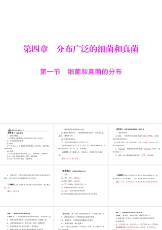 《随堂优化训练》2011年八年级生物上册 第五单元 第四章 分布广泛的细菌和真菌 第一节 细菌和真菌的分布 配套课件 人教新课标版