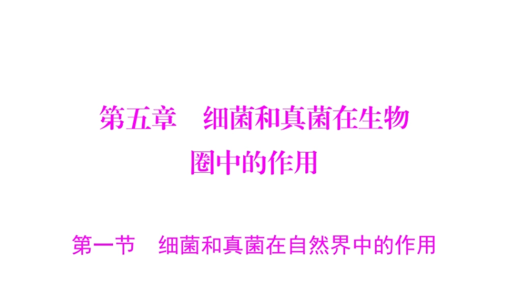 《随堂优化训练》2011年八年级生物上册 第五单元 第五章 细菌和真菌在生物圈中的作用 第一节 细菌和真菌在自然界中的作用 配套课件 人教新课标版