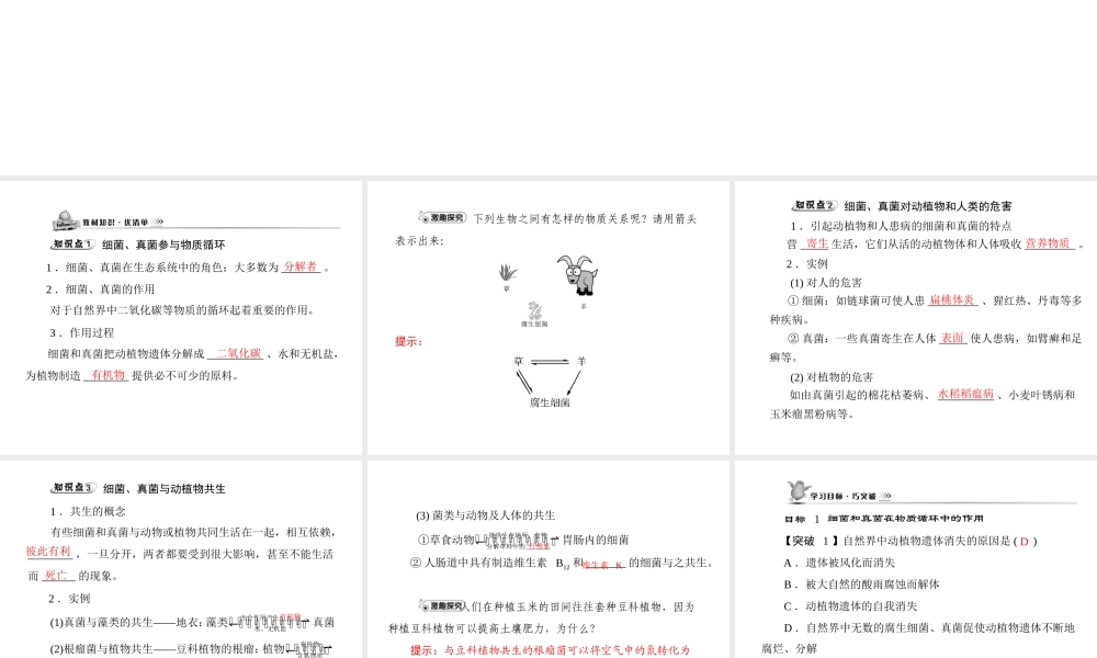 《随堂优化训练》2011年八年级生物上册 第五单元 第五章 细菌和真菌在生物圈中的作用 第一节 细菌和真菌在自然界中的作用 配套课件 人教新课标版