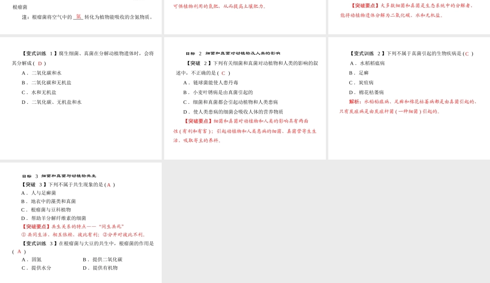 《随堂优化训练》2011年八年级生物上册 第五单元 第五章 细菌和真菌在生物圈中的作用 第一节 细菌和真菌在自然界中的作用 配套课件 人教新课标版