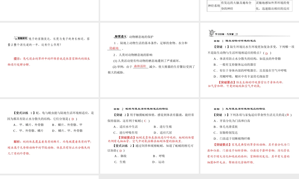 《随堂优化训练》2011年八年级生物上册 第五单元 第一章 各种环境中的动物 第二节 陆地生活的动物 配套课件 人教新课标版