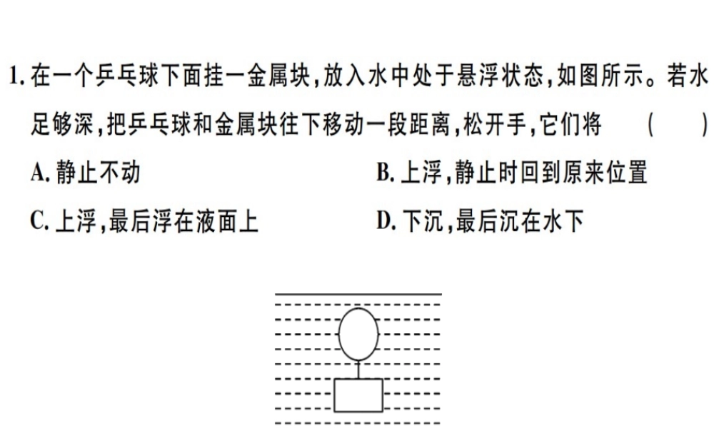 2019八年级物理下册 第十章 第3节 物体的浮沉条件及应用习题课件 （新版）新人教版