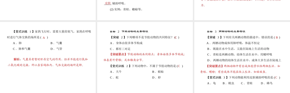 《随堂优化训练》2011年八年级生物上册 第五单元 第一章 各种环境中的动物 第三节 空中飞行的动物 配套课件 人教新课标版