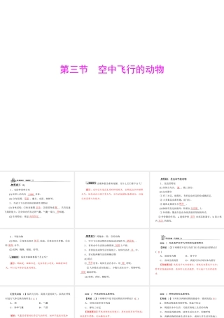 《随堂优化训练》2011年八年级生物上册 第五单元 第一章 各种环境中的动物 第三节 空中飞行的动物 配套课件 人教新课标版