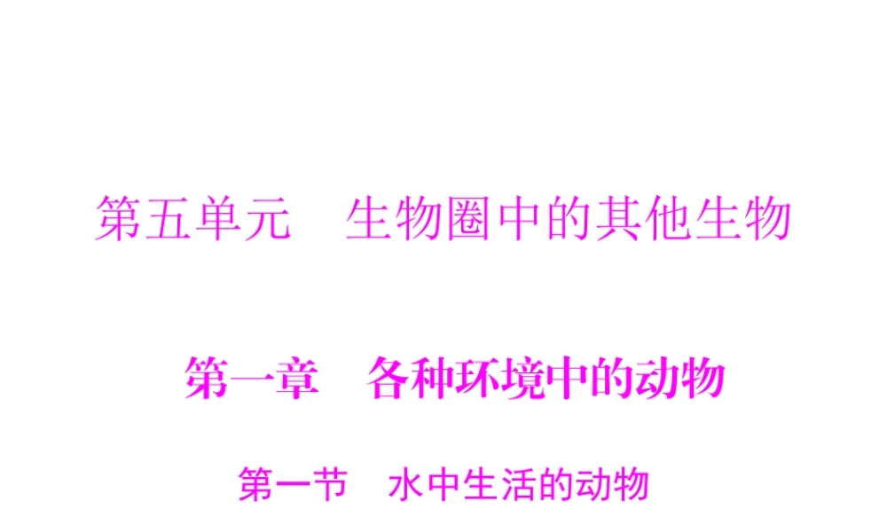 《随堂优化训练》2011年八年级生物上册 第五单元 第一章 各种环境中的动物 第一节 水中生活的动物 配套课件 人教新课标版