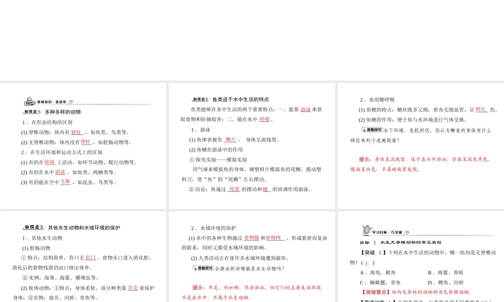 《随堂优化训练》2011年八年级生物上册 第五单元 第一章 各种环境中的动物 第一节 水中生活的动物 配套课件 人教新课标版