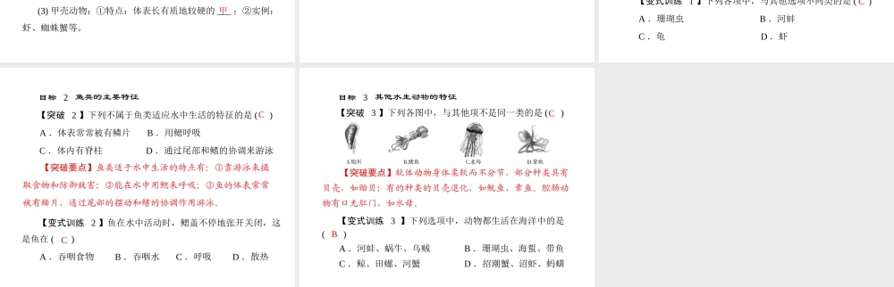 《随堂优化训练》2011年八年级生物上册 第五单元 第一章 各种环境中的动物 第一节 水中生活的动物 配套课件 人教新课标版