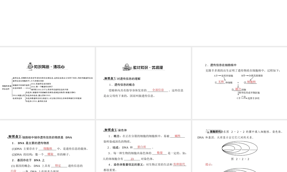 《随堂优化训练》2011年七年级生物上册 第二单元 第二章 第二节 细胞核是遗传信息库配套课件 人教新课标版