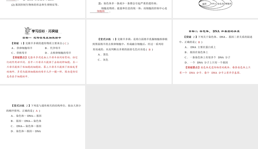 《随堂优化训练》2011年七年级生物上册 第二单元 第二章 第二节 细胞核是遗传信息库配套课件 人教新课标版