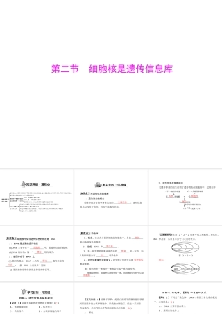 《随堂优化训练》2011年七年级生物上册 第二单元 第二章 第二节 细胞核是遗传信息库配套课件 人教新课标版