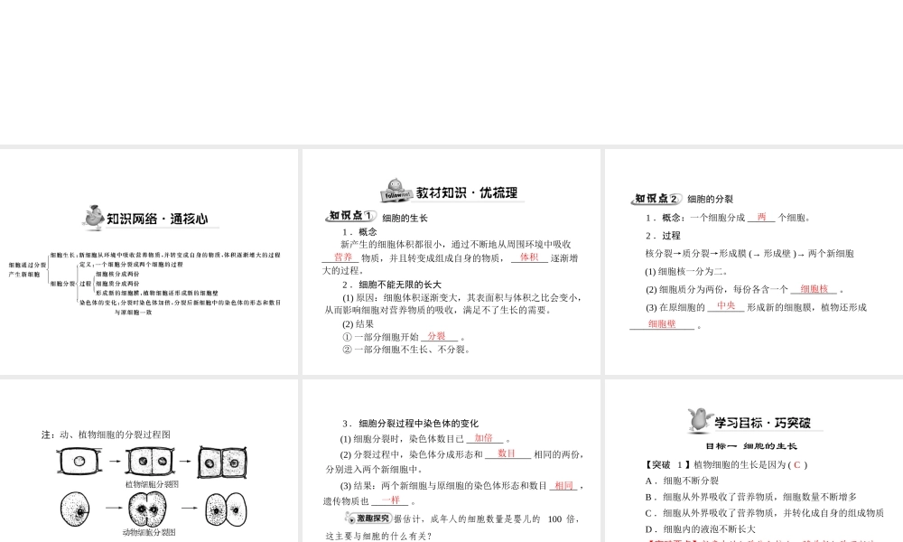 《随堂优化训练》2011年七年级生物上册 第二单元 第二章 第三节 细胞通过分裂产生新细胞配套课件 人教新课标版