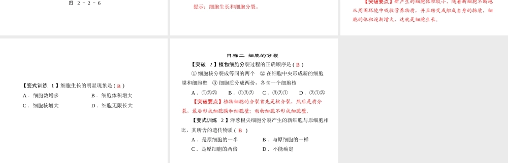 《随堂优化训练》2011年七年级生物上册 第二单元 第二章 第三节 细胞通过分裂产生新细胞配套课件 人教新课标版