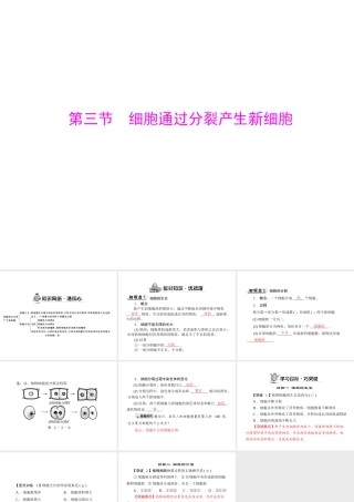 《随堂优化训练》2011年七年级生物上册 第二单元 第二章 第三节 细胞通过分裂产生新细胞配套课件 人教新课标版