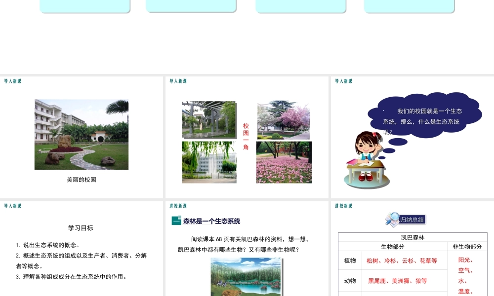 2019春八年级生物下册 第8单元 第23章 第2节 生态系统概述课件 （新版）北师大版