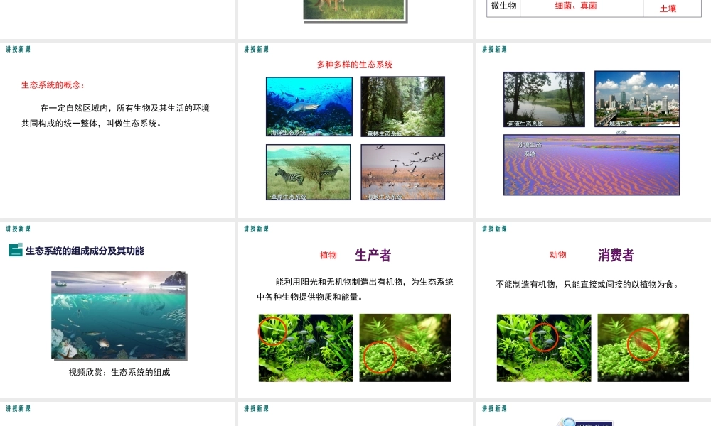 2019春八年级生物下册 第8单元 第23章 第2节 生态系统概述课件 （新版）北师大版