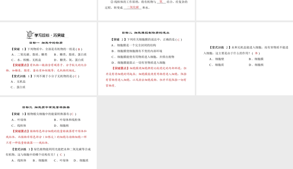 《随堂优化训练》2011年七年级生物上册 第二单元 第二章 第一节 细胞的生活需要物质和能量配套课件 人教新课标版