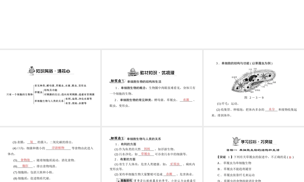 《随堂优化训练》2011年七年级生物上册 第二单元 第三章 第三节 只有一个细胞的生物体配套课件 人教新课标版