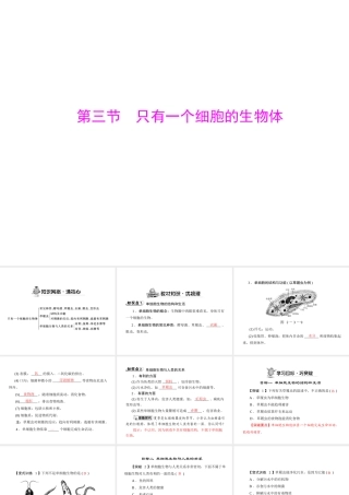 《随堂优化训练》2011年七年级生物上册 第二单元 第三章 第三节 只有一个细胞的生物体配套课件 人教新课标版