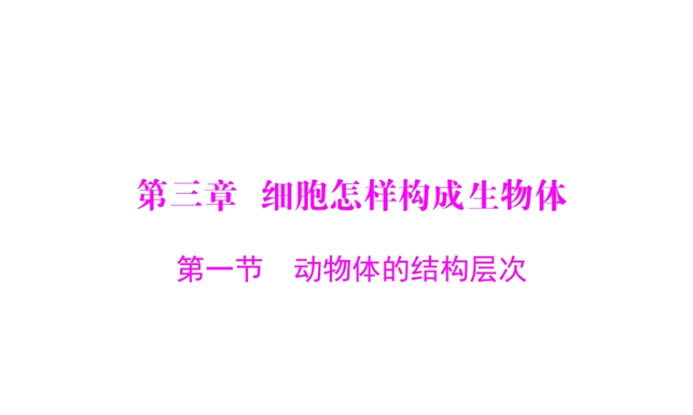 《随堂优化训练》2011年七年级生物上册 第二单元 第三章 第一节 动物体的结构层次配套课件 人教新课标版