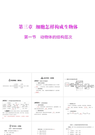 《随堂优化训练》2011年七年级生物上册 第二单元 第三章 第一节 动物体的结构层次配套课件 人教新课标版