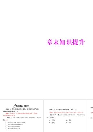 《随堂优化训练》2011年七年级生物上册 第二单元 第三章 章末知识提升配套课件 人教新课标版