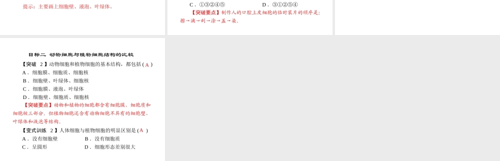 《随堂优化训练》2011年七年级生物上册 第二单元 第一章 第三节 观察动物细胞配套课件 人教新课标版