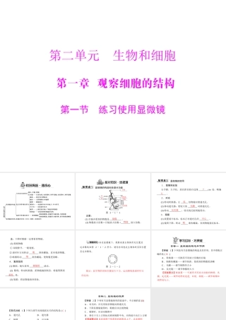 《随堂优化训练》2011年七年级生物上册 第二单元 第一章 第一节 练习使用显微镜配套课件 人教新课标版