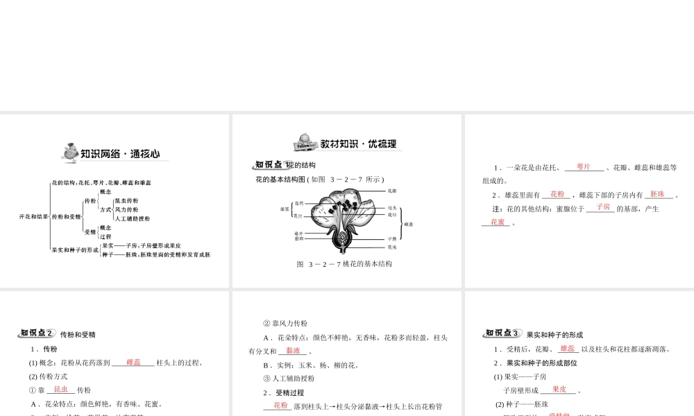 《随堂优化训练》2011年七年级生物上册 第三单元 第二章 第三节 开花和结果配套课件 人教新课标版