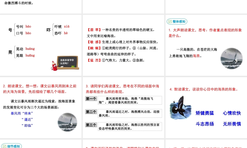 2级语文下册 第一单元 1 海燕课件 苏教版