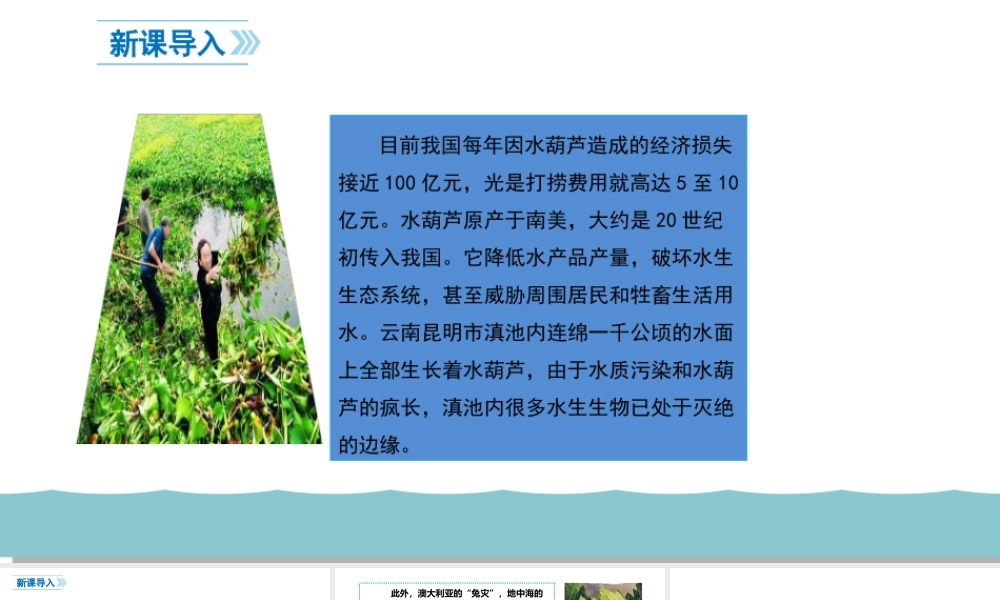 9.2 维护国家安全  教学优质课件