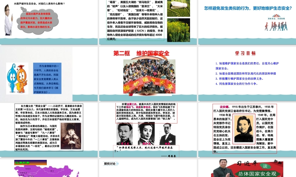 9.2 维护国家安全  教学优质课件