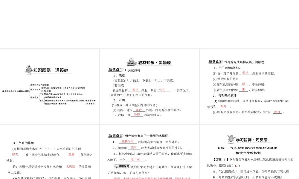 《随堂优化训练》2011年七年级生物上册 第三单元 第三章 第三节 绿色植物参与生物圈的水循环配套课件 人教新课标版